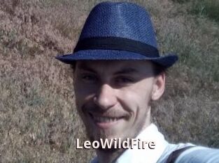 LeoWildFire