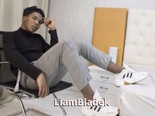LiamBladek