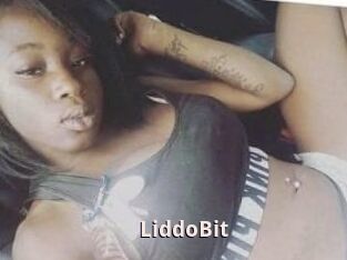 LiddoBit