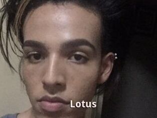 Lotus