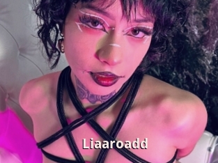 Liaaroadd