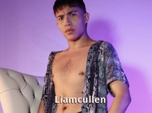 Liamcullen