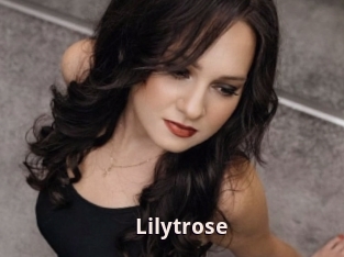 Lilytrose