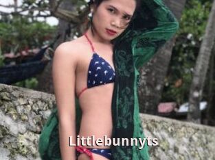 Littlebunnyts