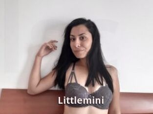 Littlemini
