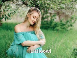 Littleowl