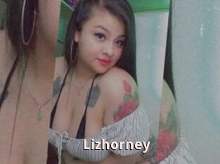 Lizhorney