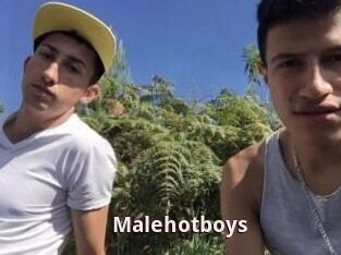 Malehotboys