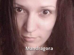 Mandragora