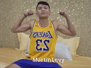MartinLevy