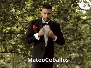MateoCeballos
