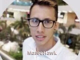 MateoHawk