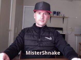 MisterShnake