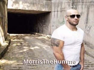 MorrisTheHumme