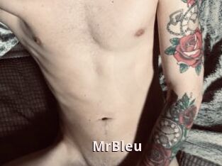 MrBleu