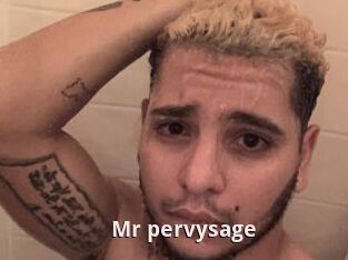 Mr_pervysage