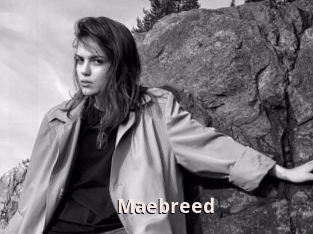 Maebreed