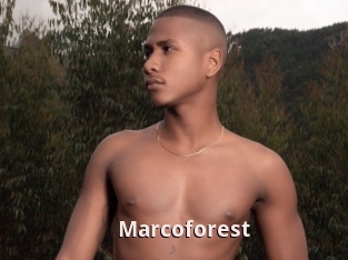 Marcoforest