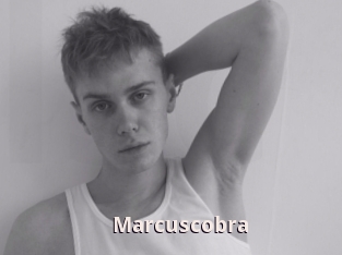 Marcuscobra