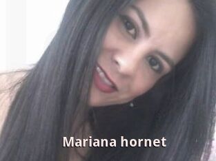 Mariana_hornet