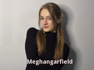 Meghangarfield