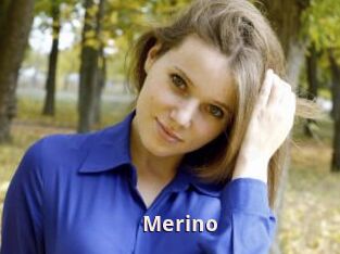 Merino