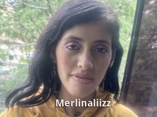 Merlinaliizz
