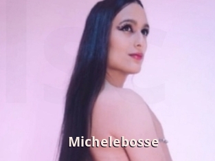 Michelebosse