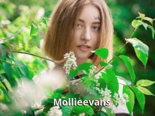 Mollieevans