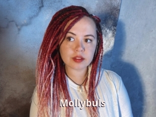 Mollybuls