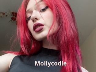 Mollycodle