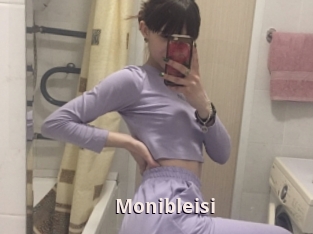 Monibleisi