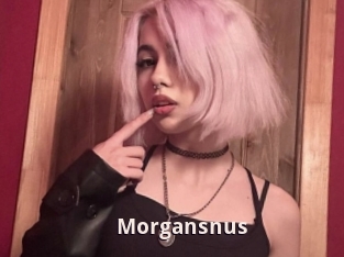 Morgansnus
