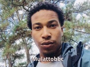 Mulattobbc