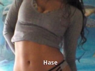 Hase