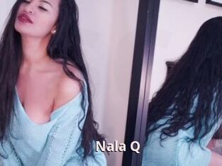 Nala_Q