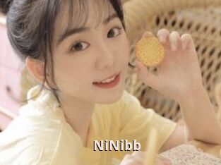 NiNibb