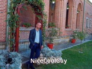 NiceCoolGuy