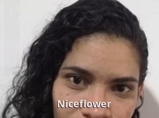 Nice_flower