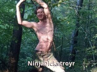NinjaDickstroyr