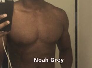 Noah_Grey