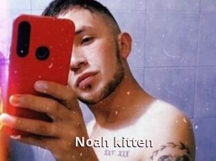 Noah_kitten