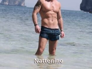 Nattenino