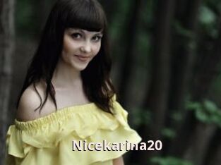 Nicekarina20