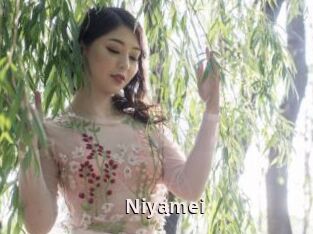 Niyamei