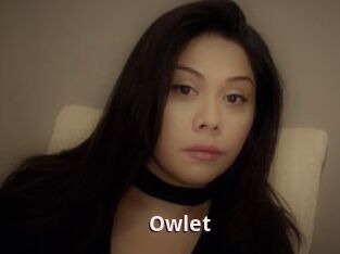 _Owlet_