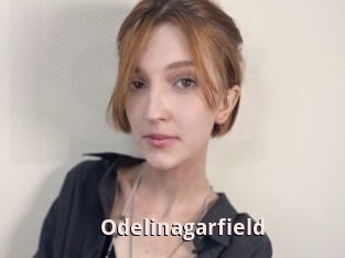 Odelinagarfield
