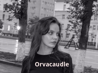 Orvacaudle