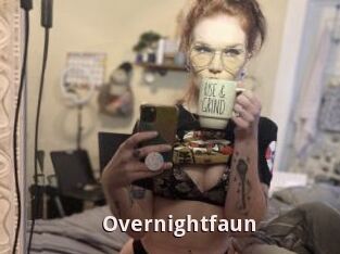 Overnightfaun