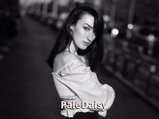 PaleDaisy